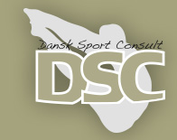 dsconsult